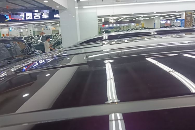 Used Hongqi HQ9 PHEV 2024 2.0T Four-Wheel Drive Luxury Edition Roof