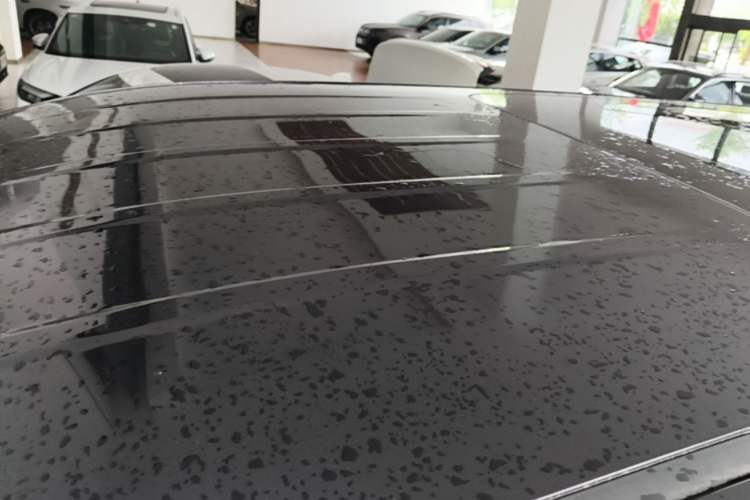 Used Hongqi HQ9 PHEV 2024 2.0T Four-Wheel Drive Luxury Edition Roof