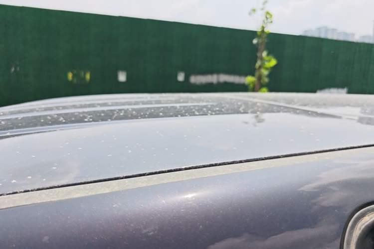 Used Hongqi HQ9 PHEV 2024 2.0T Four-Wheel Drive Business Edition Roof