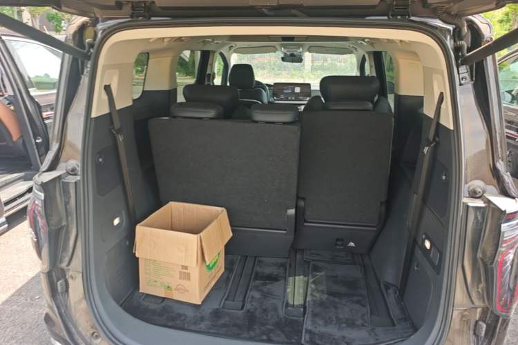 Used Hongqi HQ9 PHEV 2024 2.0T Four-Wheel Drive Business Edition Trunk
