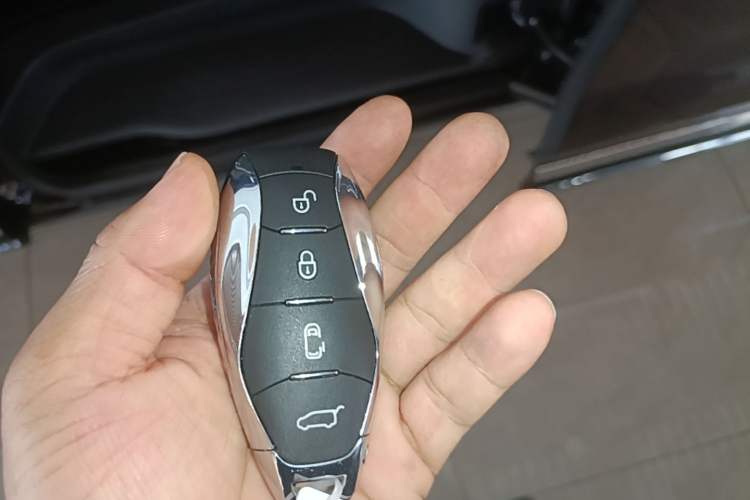 Used Hongqi HQ9 PHEV 2024 2.0T Four-Wheel Drive Luxury Edition Vehicle Key