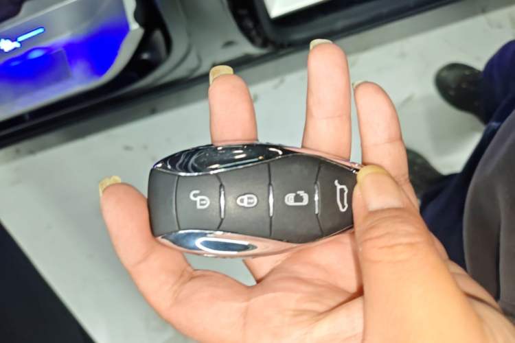 Used Hongqi HQ9 PHEV 2024 2.0T Four-Wheel Drive Luxury Edition Vehicle Key