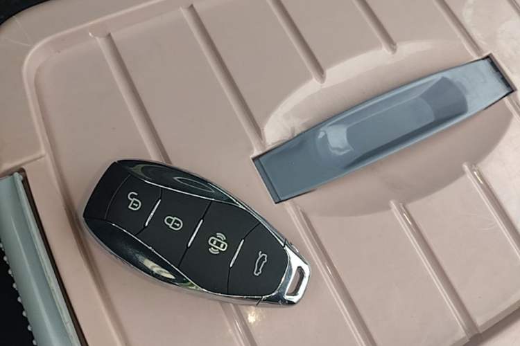 Used Hongqi HQ9 PHEV 2024 2.0T Four-Wheel Drive Business Edition Vehicle Key