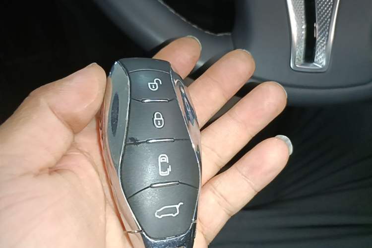 Used Hongqi HQ9 PHEV 2024 2.0T Four-Wheel Drive Luxury Edition Vehicle Key
