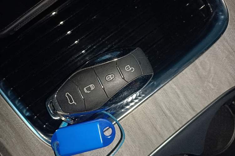 Used Hongqi HQ9 PHEV 2024 2.0T Four-Wheel Drive Business Edition Vehicle Key