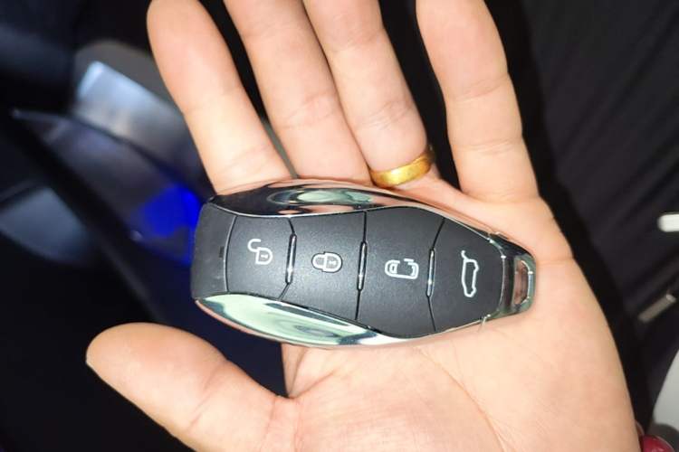 Used Hongqi HQ9 PHEV 2024 2.0T Four-Wheel Drive Luxury Edition Vehicle Key