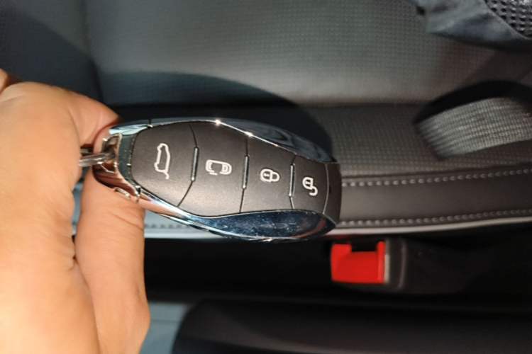 Used Hongqi HQ9 PHEV 2024 2.0T Four-Wheel Drive Luxury Edition Vehicle Key
