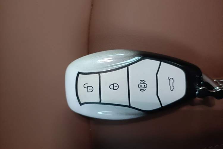 Used Hongqi HQ9 PHEV 2024 2.0T Four-Wheel Drive Business Edition Vehicle Key