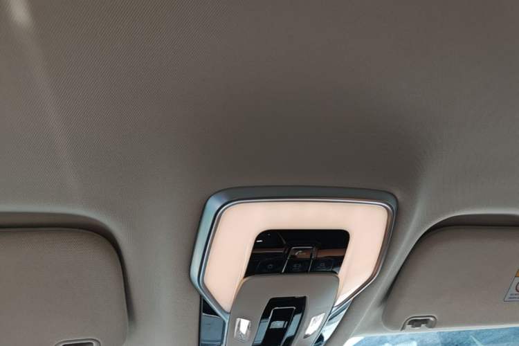 Used Hongqi HQ9 PHEV 2024 2.0T Four-Wheel Drive Business Edition Headliner