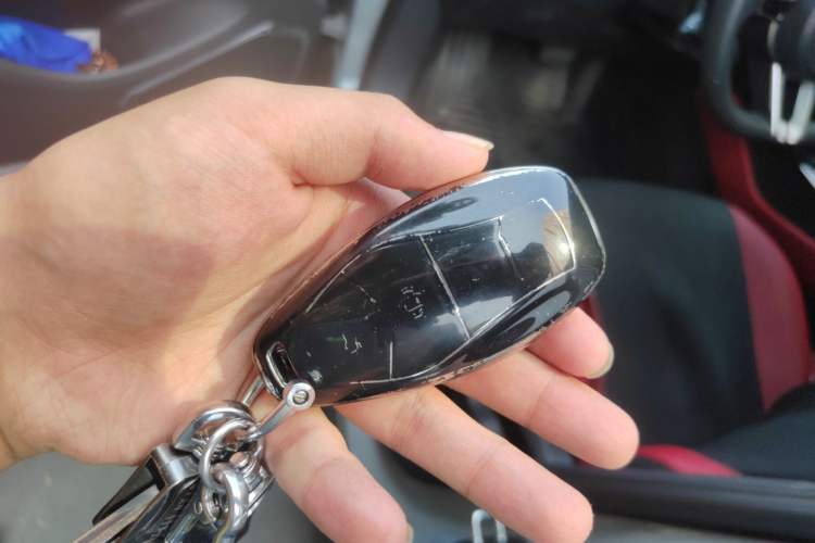 Used Hongqi HS3 2023 2.0T Two-Wheel Drive Available Version Interior 1