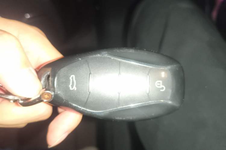 Used Hongqi HS3 2023 1.5T Two-Wheel Drive Shanwei Edition Vehicle Key