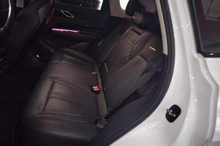 Used Hongqi HS3 2023 2.0T All-Wheel-Drive Youwei Version Left Rear Seat