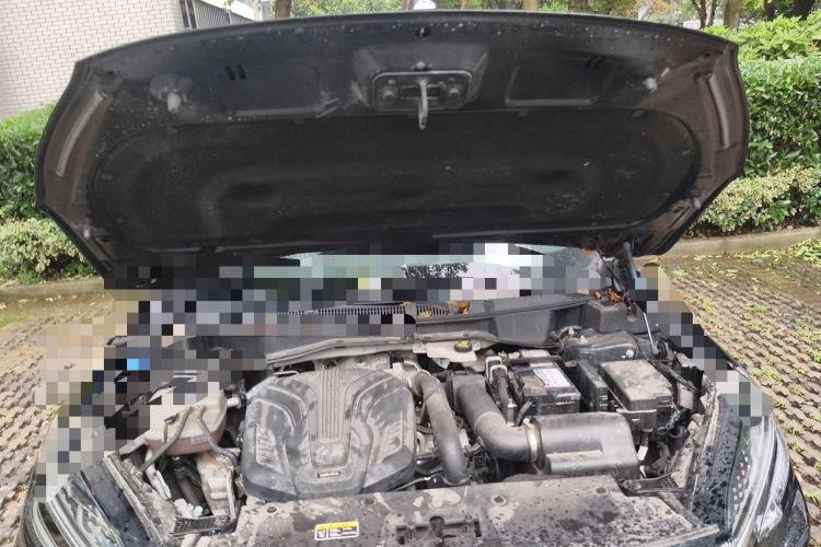 Used Hongqi HS3 2023 2.0T Two-Wheel Drive Available Version Engine Bay