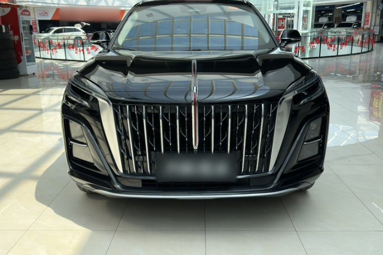 Used Hongqi HS3 2023 1.5T Two-Wheel Drive Shanwei Edition Exterior 5