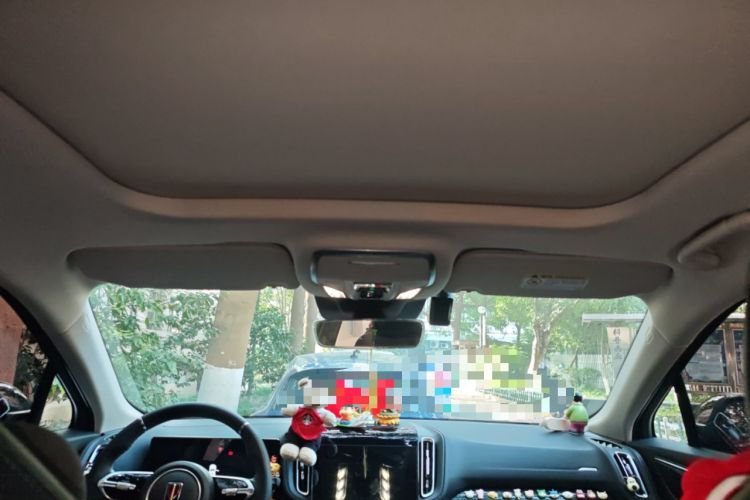 Used Hongqi HS3 2023 1.5T Two-Wheel Drive Shanwei Edition Headliner