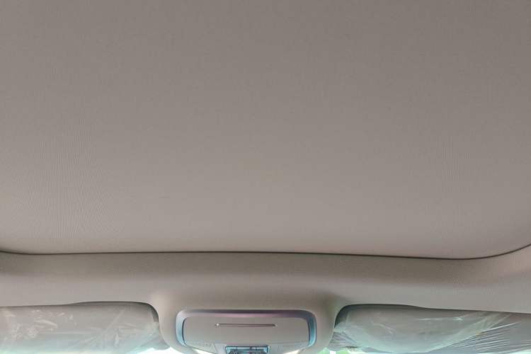 Used Hongqi HS3 2023 1.5T Two-Wheel Drive Shanwei Edition Headliner