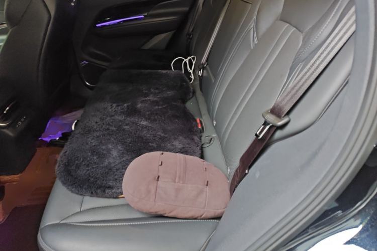 Used Hongqi HS3 2023 1.5T Two-Wheel Drive Shanwei Edition Left Rear Seat