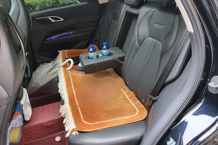 Used Hongqi HS3 2023 1.5T Two-Wheel Drive Shanwei Edition Left Rear Seat