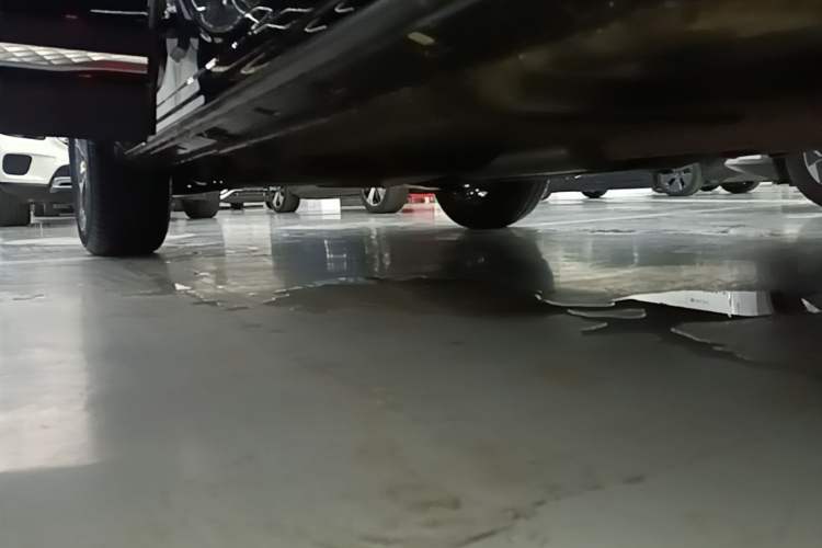Used Hongqi HS3 2023 1.5T Two-Wheel Drive Shanwei Edition Right Side Sill