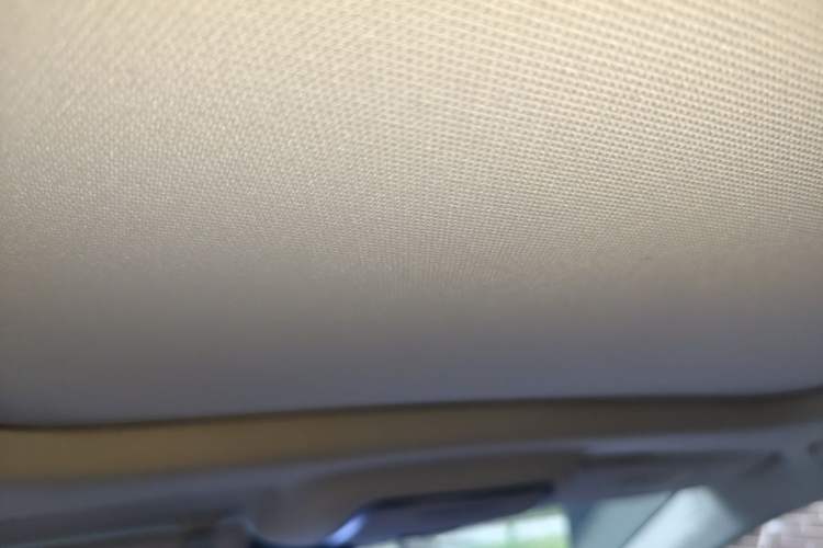 Used Hongqi HS3 2023 1.5T Two-Wheel Drive Shanwei Edition Headliner
