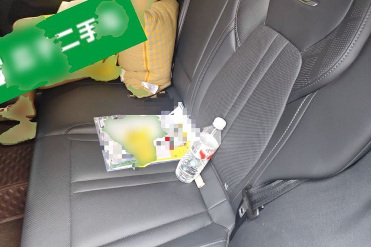 Used Hongqi HS3 2023 1.5T Two-Wheel Drive Shanwei Edition Left Rear Seat
