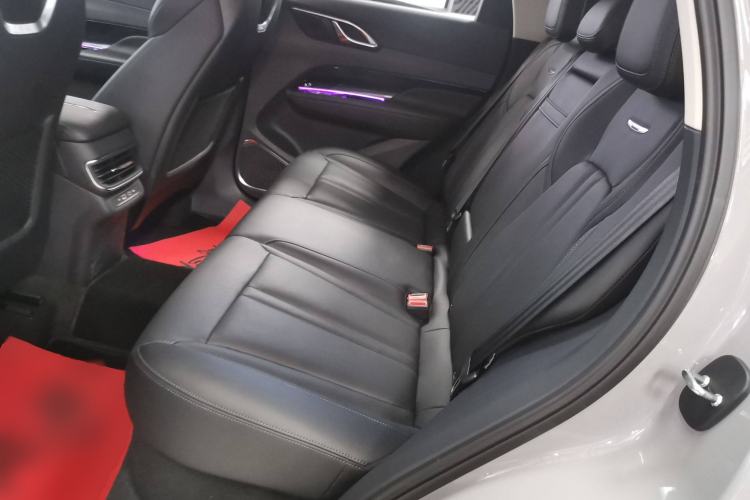 Used Hongqi HS3 2023 2.0T All-Wheel-Drive Youwei Version Left Rear Seat