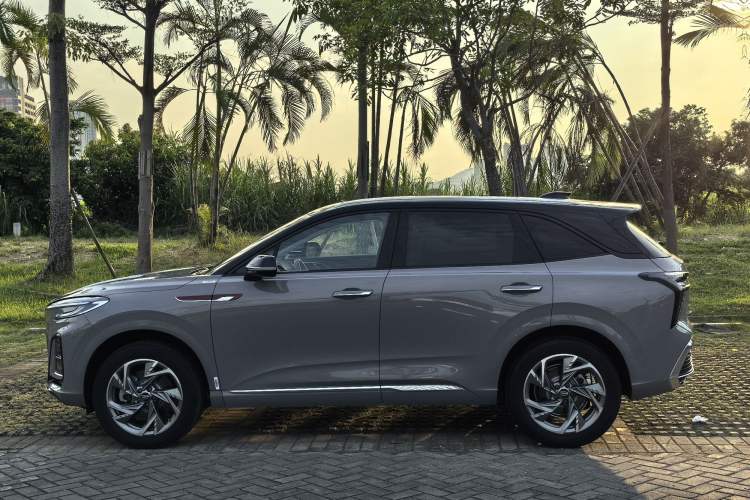 Used Hongqi HS3 2023 2.0T All-Wheel-Drive Youwei Version Left Side