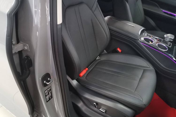 Used Hongqi HS3 2023 2.0T All-Wheel-Drive Youwei Version Right Front Seat