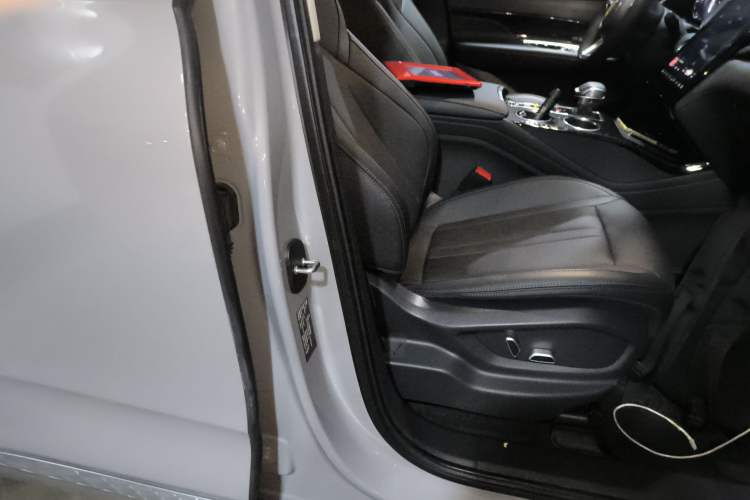 Used Hongqi HS3 2023 1.5T Two-Wheel Drive Shanwei Edition Right Front Seat