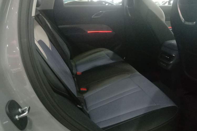 Used Hongqi HS3 2023 2.0T All-Wheel-Drive Youwei Version Right Rear Seat