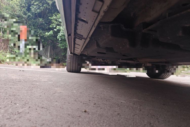 Used Hongqi HS3 2023 1.5T Two-Wheel Drive Shanwei Edition Chassis Rear Left