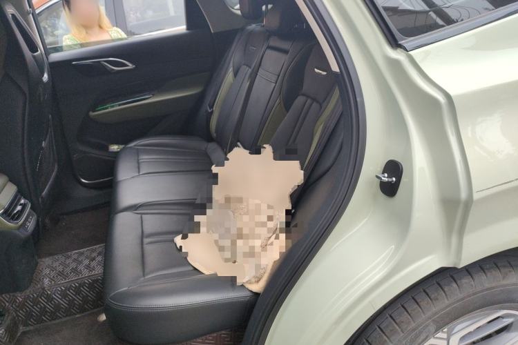 Used Hongqi HS3 2023 1.5T Two-Wheel Drive Shanwei Edition Left Rear Seat