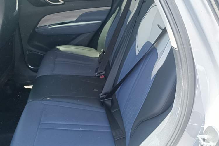 Used Hongqi HS3 2023 2.0T All-Wheel-Drive Youwei Version Left Rear Seat
