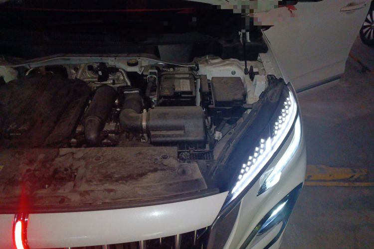 Used Hongqi HS3 2023 1.5T Two-Wheel Drive Shanwei Edition Engine Bay Left