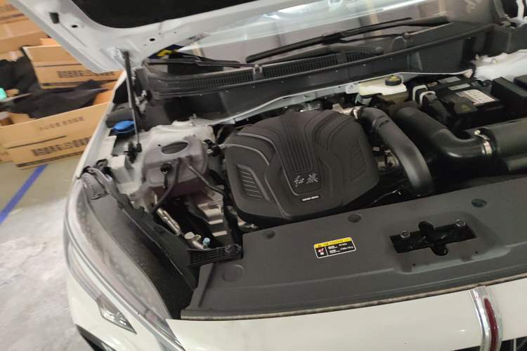 Used Hongqi HS3 2023 2.0T Two-Wheel Drive Available Version Engine Bay Right