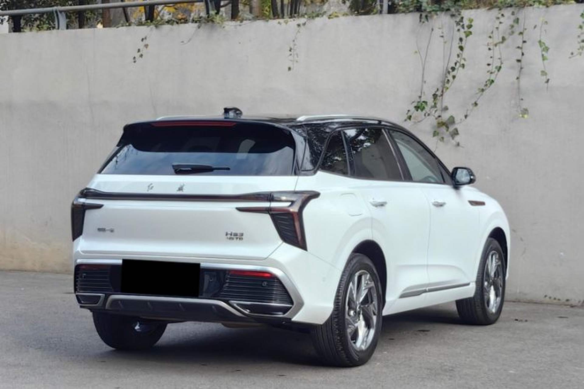 Used Hongqi HS3 2023 2.0T All-Wheel-Drive Youwei Version Exterior 1