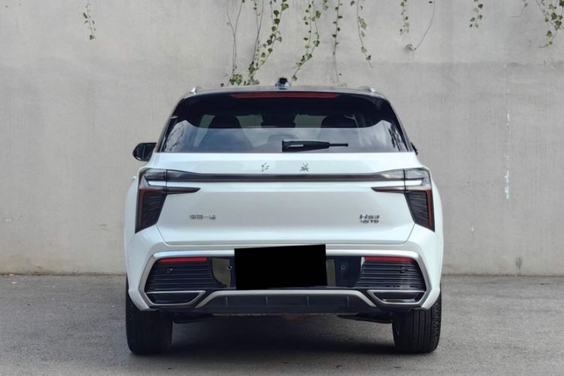 Used Hongqi HS3 2023 2.0T All-Wheel-Drive Youwei Version Exterior 2
