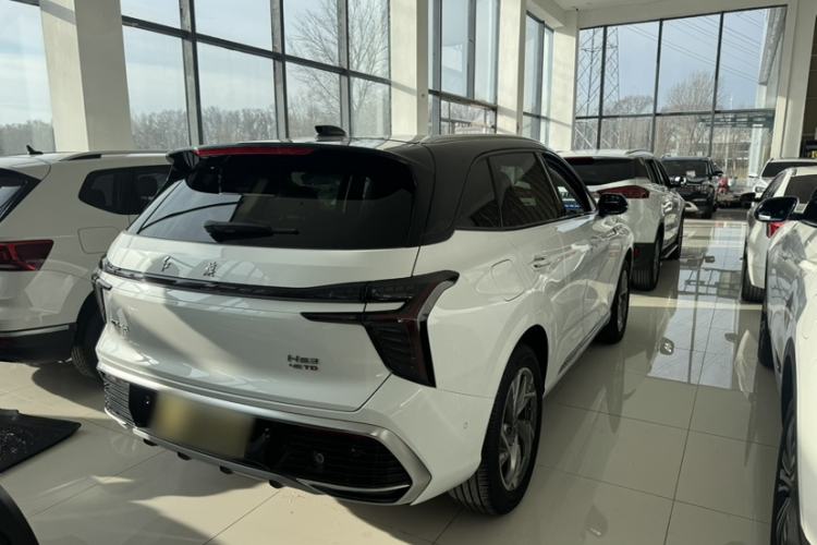 Used Hongqi HS3 2023 2.0T All-Wheel-Drive Youwei Version Exterior 5