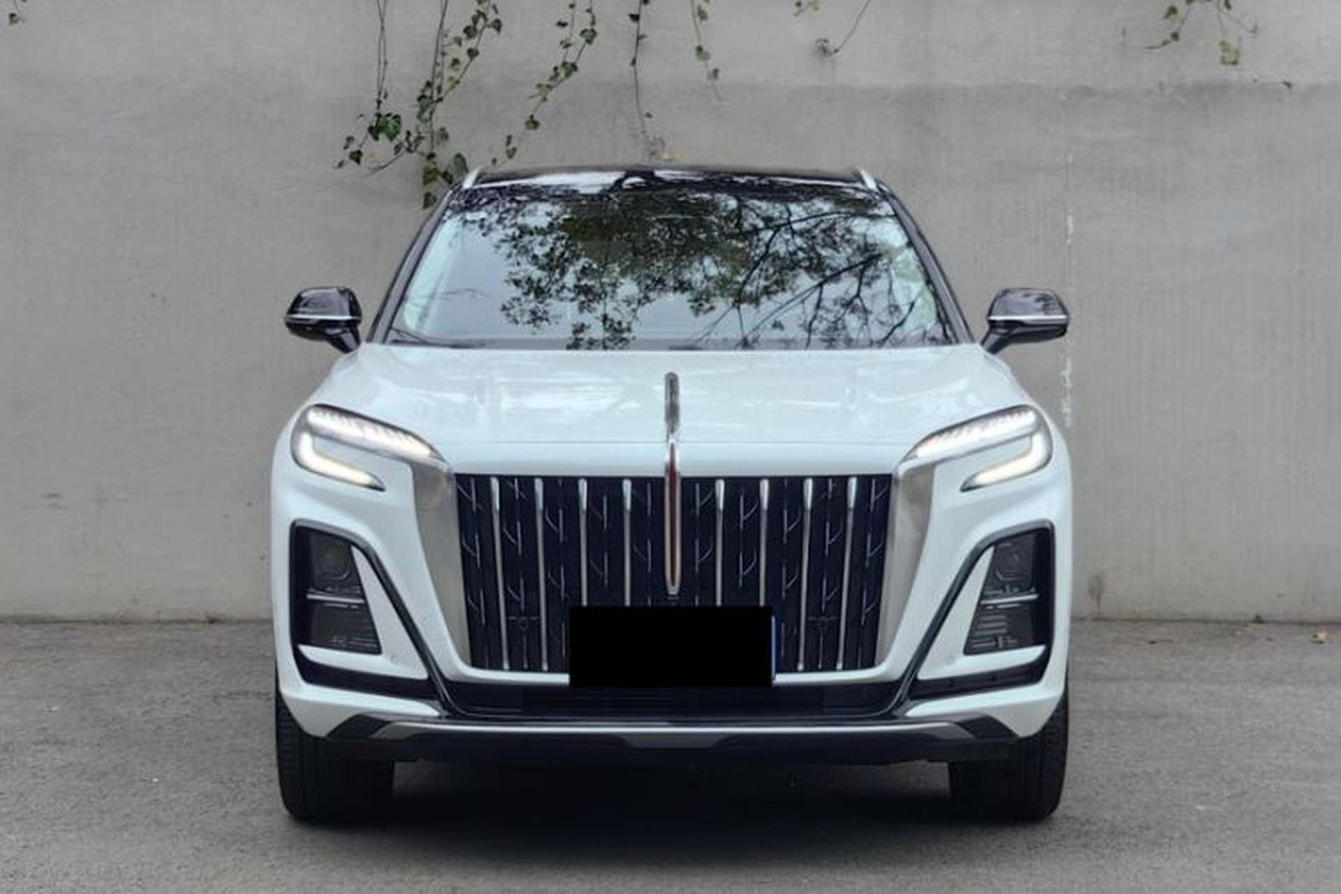 Used Hongqi HS3 2023 2.0T All-Wheel-Drive Youwei Version Exterior 6