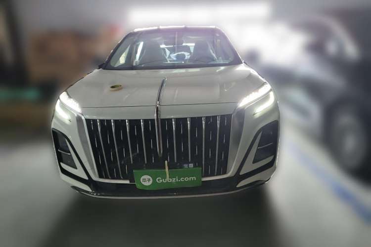 Used Hongqi HS3 2023 2.0T Two-Wheel Drive Available Version Front