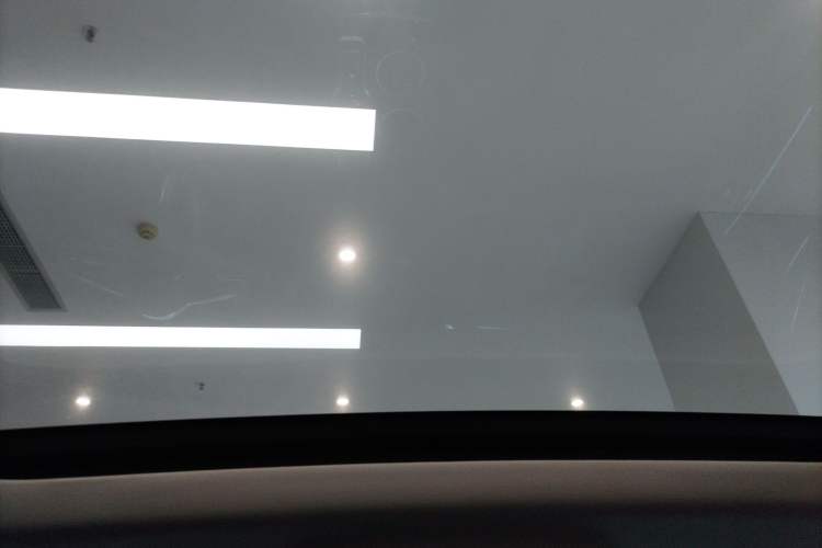 Used Hongqi HS3 2023 2.0T All-Wheel-Drive Youwei Version Headliner