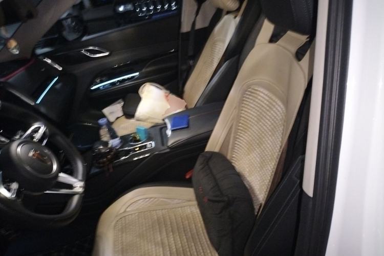 Used Hongqi HS3 2023 1.5T Two-Wheel Drive Shanwei Edition Left Front Seat