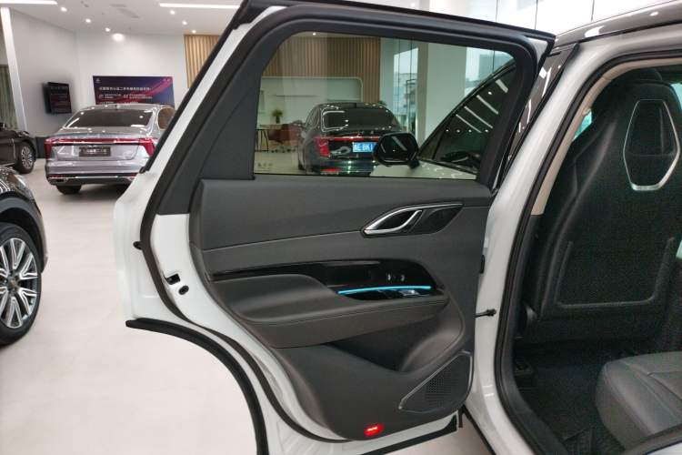 Used Hongqi HS3 2023 2.0T All-Wheel-Drive Youwei Version Left Rear Door Interior