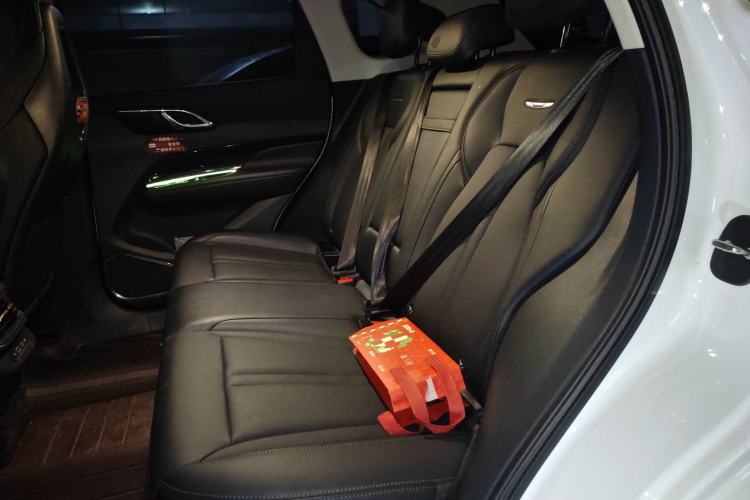 Used Hongqi HS3 2023 1.5T Two-Wheel Drive Shanwei Edition Left Rear Seat