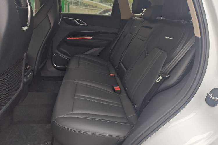Used Hongqi HS3 2023 2.0T All-Wheel-Drive Youwei Version Left Rear Seat