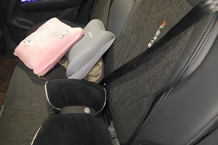Used Hongqi HS3 2023 1.5T Two-Wheel Drive Shanwei Edition Left Rear Seat