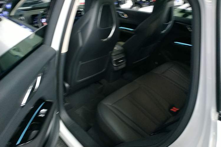 Used Hongqi HS3 2023 2.0T All-Wheel-Drive Youwei Version Left Rear Seat