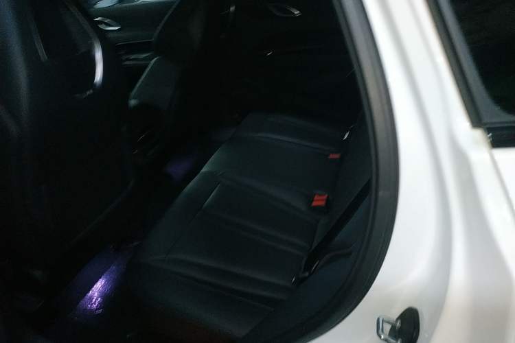 Used Hongqi HS3 2023 2.0T All-Wheel-Drive Youwei Version Left Rear Seat