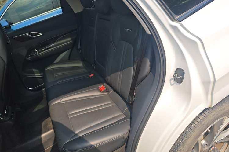 Used Hongqi HS3 2023 2.0T All-Wheel-Drive Youwei Version Left Rear Seat