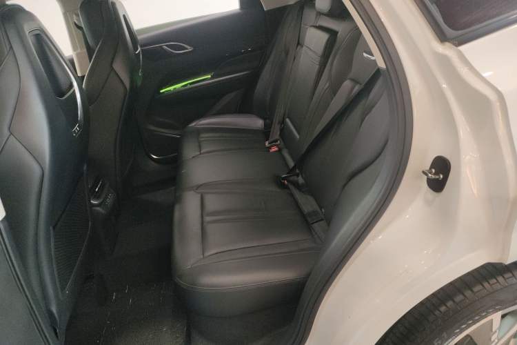 Used Hongqi HS3 2023 2.0T All-Wheel-Drive Youwei Version Left Rear Seat